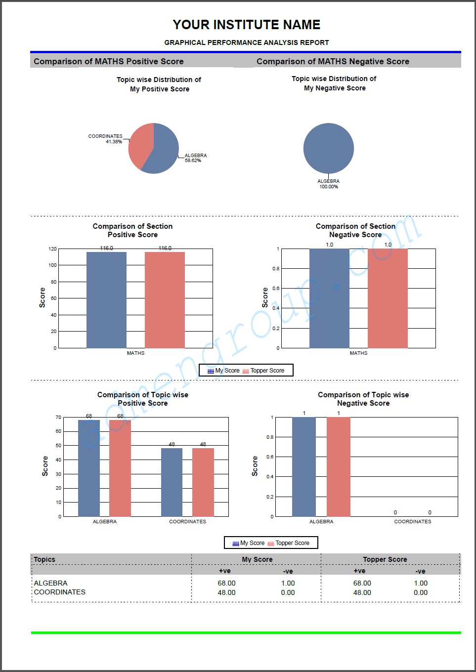 Graphical Performance Report